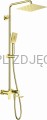 DEANTE Alpinia Deszczownica z baterią wannową - ruchoma wylewka - złoty - NAC_Z1AM - additionalPackshot