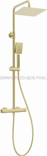 DEANTE Deszczownica z baterią prysznicową termostatyczną - złoto szczotkowane - NAC_R4HT - packshot