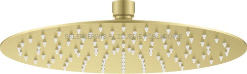 DEANTE Cascada Głowica prysznicowa stalowa - okrągła - złoto szczotkowane - NAC_R10K - packshot