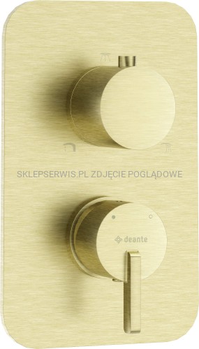 DEANTE Silia Element zewnętrzny do BOXa mieszaczowego - złoto szczotkowane - BXY_RQSM - packshot