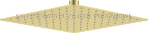 DEANTE Cascada Głowica prysznicowa stalowa - 250x250 mm - złoto szczotkowane - NAC_R02K