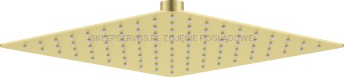DEANTE Cascada Głowica prysznicowa stalowa - 250x250 mm - złoto szczotkowane - NAC_R02K - packshot