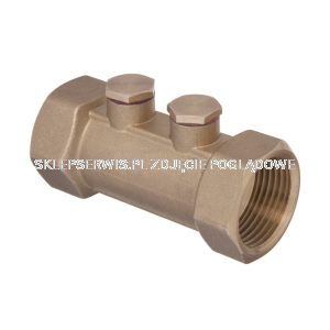  Zawór antyskażeniowy 1""" ZK-67-025-C 