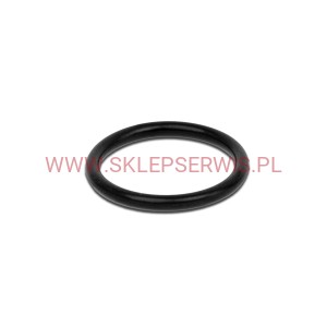 BWT O-ring zasilanie/wyjście do kolana bwt 240022585