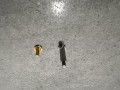 IMG_2653.jpeg