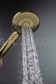 DEANTE Arnika Słuchawka prysznicowa 3-funkcyjna - złoty - NQA_Z51S - decor