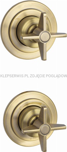 DEANTE Temisto Bateria prysznicowa podtynkowa z przełącznikiem natrysku - mosiądz - BQT_M44P - packshot