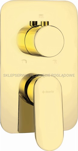 DEANTE Alpinia Element zewnętrzny do BOXa mieszaczowego - złoty - BXY_ZGAM - packshot