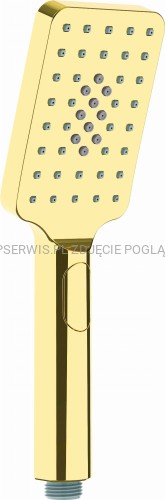 DEANTE Alpinia Słuchawka prysznicowa 3-funkcyjna - złoty - NGA_Z51S - packshot