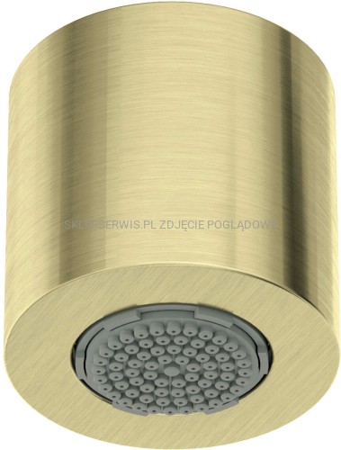 DEANTE Silia Główka prysznicowa 1-funkcyjna - złoto szczotkowane - NQS_R30K - packshot