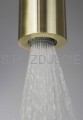 DEANTE Silia Główka prysznicowa 1-funkcyjna - złoto szczotkowane - NQS_R30K - additionalPackshot