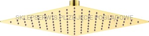 DEANTE Cascada Głowica prysznicowa stalowa - 250x250 mm - złoty - NAC_Z02K