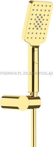 DEANTE Alpinia Zestaw prysznicowy punktowy - złoty - NGA_Z41K - packshot